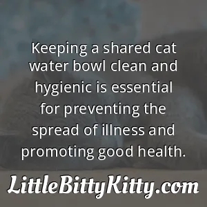 Keeping a shared cat water bowl clean and hygienic is essential for preventing the spread of illness and promoting good health.