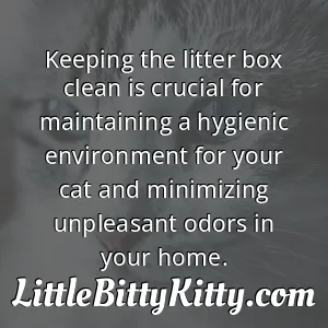 Keeping the litter box clean is crucial for maintaining a hygienic environment for your cat and minimizing unpleasant odors in your home.