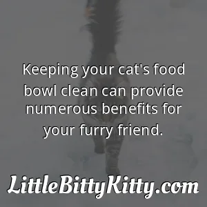 Keeping your cat's food bowl clean can provide numerous benefits for your furry friend.