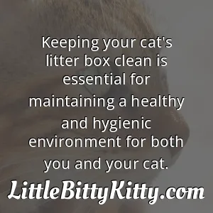 Keeping your cat's litter box clean is essential for maintaining a healthy and hygienic environment for both you and your cat.