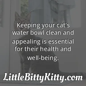 Keeping your cat's water bowl clean and appealing is essential for their health and well-being.