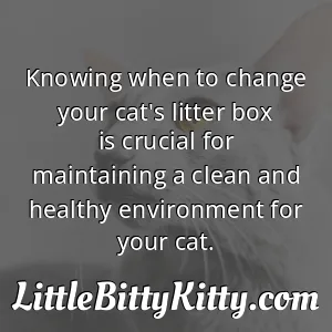 Knowing when to change your cat's litter box is crucial for maintaining a clean and healthy environment for your cat.