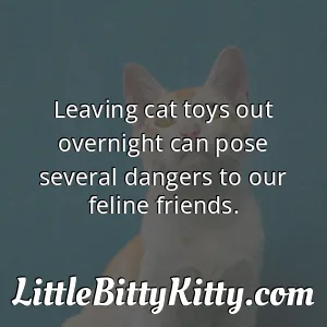 Leaving cat toys out overnight can pose several dangers to our feline friends.