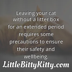 Leaving your cat without a litter box for an extended period requires some precautions to ensure their safety and wellbeing.