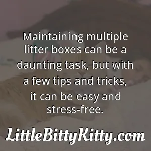Maintaining multiple litter boxes can be a daunting task, but with a few tips and tricks, it can be easy and stress-free.