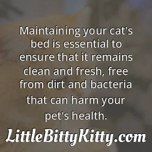 Maintaining your cat's bed is essential to ensure that it remains clean and fresh, free from dirt and bacteria that can harm your pet's health.