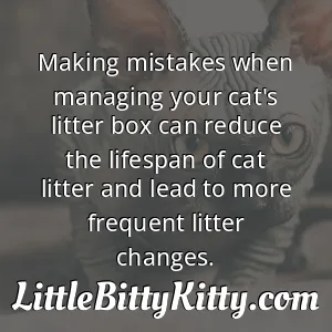 Making mistakes when managing your cat's litter box can reduce the lifespan of cat litter and lead to more frequent litter changes.