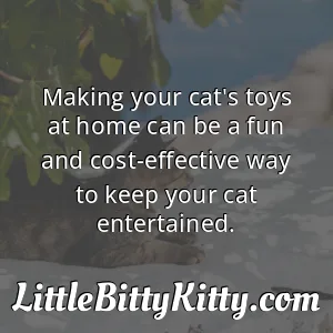 Making your cat's toys at home can be a fun and cost-effective way to keep your cat entertained.