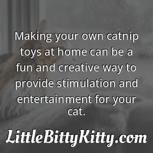 Making your own catnip toys at home can be a fun and creative way to provide stimulation and entertainment for your cat.