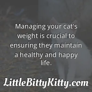 Managing your cat's weight is crucial to ensuring they maintain a healthy and happy life.