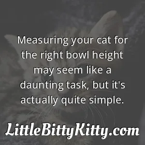 Measuring your cat for the right bowl height may seem like a daunting task, but it's actually quite simple.