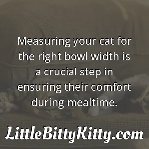 Measuring your cat for the right bowl width is a crucial step in ensuring their comfort during mealtime.