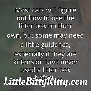 Most cats will figure out how to use the litter box on their own, but some may need a little guidance, especially if they are kittens or have never used a litter box before.