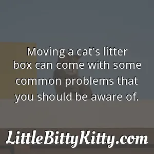 Moving a cat's litter box can come with some common problems that you should be aware of.