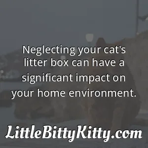 Neglecting your cat's litter box can have a significant impact on your home environment.