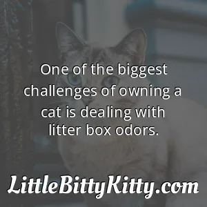 One of the biggest challenges of owning a cat is dealing with litter box odors.