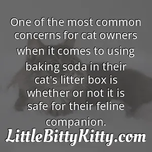 One of the most common concerns for cat owners when it comes to using baking soda in their cat's litter box is whether or not it is safe for their feline companion.