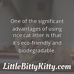 One of the significant advantages of using rice cat litter is that it's eco-friendly and biodegradable.