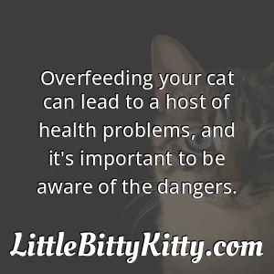 Overfeeding your cat can lead to a host of health problems, and it's important to be aware of the dangers.
