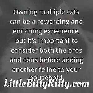 Owning multiple cats can be a rewarding and enriching experience, but it's important to consider both the pros and cons before adding another feline to your household.