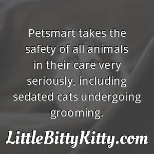 Petsmart takes the safety of all animals in their care very seriously, including sedated cats undergoing grooming.