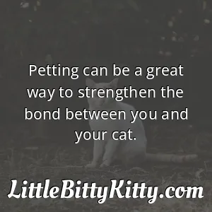 Petting can be a great way to strengthen the bond between you and your cat.