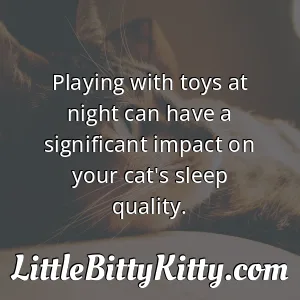 Playing with toys at night can have a significant impact on your cat's sleep quality.