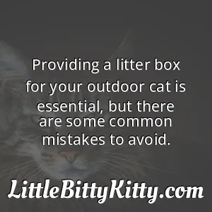 Providing a litter box for your outdoor cat is essential, but there are some common mistakes to avoid.