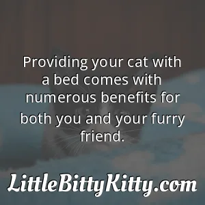 Providing your cat with a bed comes with numerous benefits for both you and your furry friend.