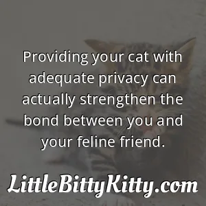 Providing your cat with adequate privacy can actually strengthen the bond between you and your feline friend.