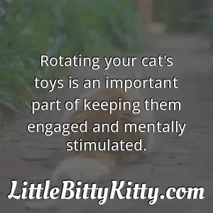 Rotating your cat's toys is an important part of keeping them engaged and mentally stimulated.