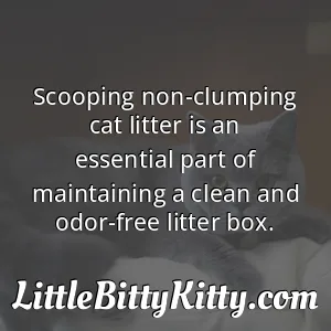 Scooping non-clumping cat litter is an essential part of maintaining a clean and odor-free litter box.