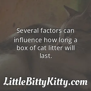 Several factors can influence how long a box of cat litter will last.