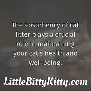The absorbency of cat litter plays a crucial role in maintaining your cat's health and well-being.