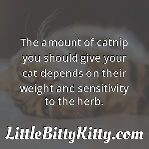 The amount of catnip you should give your cat depends on their weight and sensitivity to the herb.