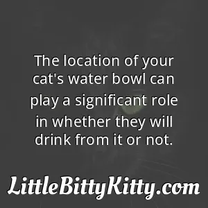 The location of your cat's water bowl can play a significant role in whether they will drink from it or not.