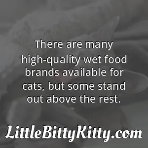 There are many high-quality wet food brands available for cats, but some stand out above the rest.