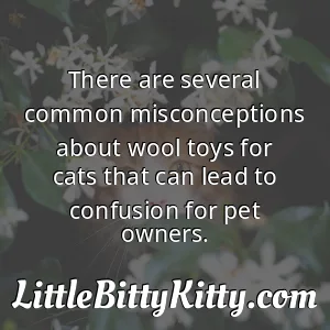 There are several common misconceptions about wool toys for cats that can lead to confusion for pet owners.