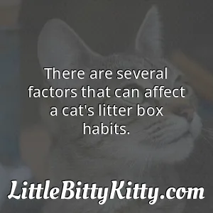 There are several factors that can affect a cat's litter box habits.