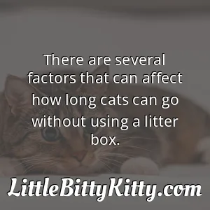 There are several factors that can affect how long cats can go without using a litter box.