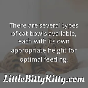 There are several types of cat bowls available, each with its own appropriate height for optimal feeding.