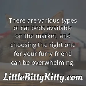 There are various types of cat beds available on the market, and choosing the right one for your furry friend can be overwhelming.