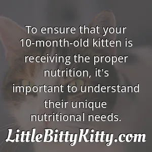 To ensure that your 10-month-old kitten is receiving the proper nutrition, it's important to understand their unique nutritional needs.