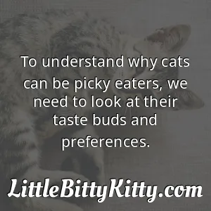 To understand why cats can be picky eaters, we need to look at their taste buds and preferences.