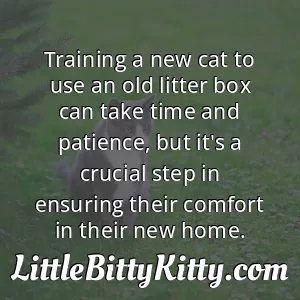 Training a new cat to use an old litter box can take time and patience, but it's a crucial step in ensuring their comfort in their new home.