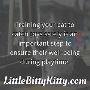 Training your cat to catch toys safely is an important step to ensure their well-being during playtime.