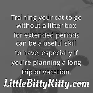 Training your cat to go without a litter box for extended periods can be a useful skill to have, especially if you're planning a long trip or vacation.