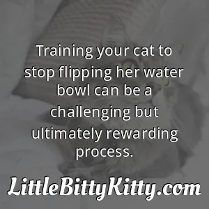 Training your cat to stop flipping her water bowl can be a challenging but ultimately rewarding process.