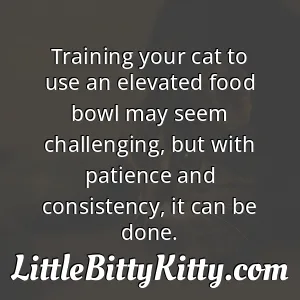 Training your cat to use an elevated food bowl may seem challenging, but with patience and consistency, it can be done.