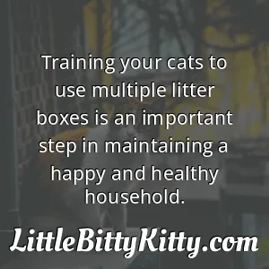 Training your cats to use multiple litter boxes is an important step in maintaining a happy and healthy household.